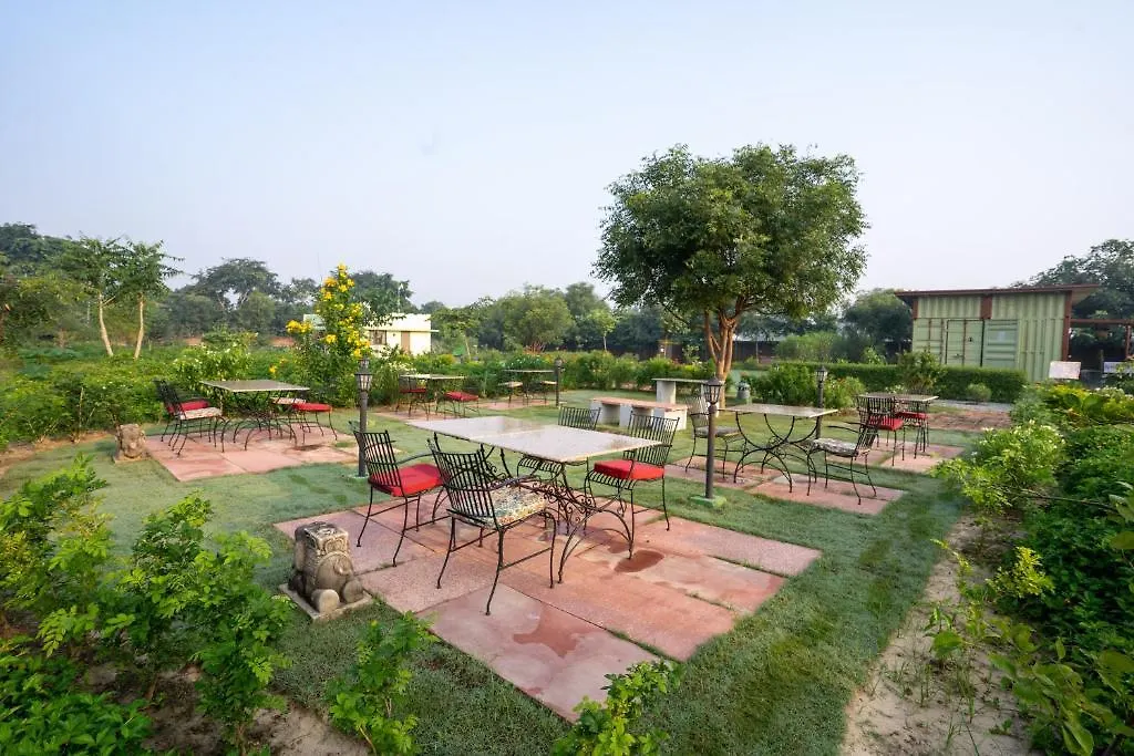 **** Курортный комплекс Отель Tree Of Life Ecotainers Agra Агра Индия